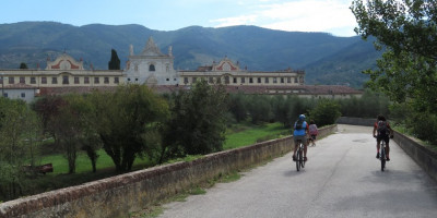 <p>Calci MTB</p>
