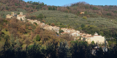 <p>Collodi panoramica</p>
