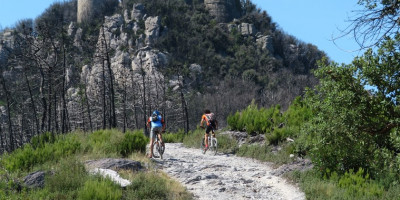 <p>MTB Verruca 3</p>
