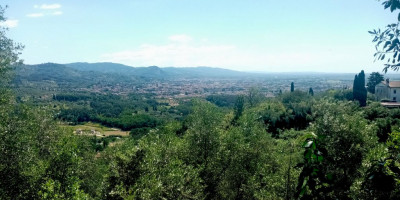 <p>Colle di Buggiano Panorama</p>
