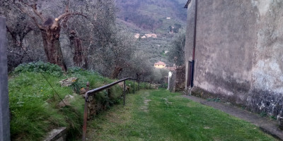 <p> Chiesa San Salvatore al Colle</p>
