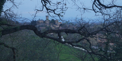 <p>Vicopisano Veduta 2</p>
