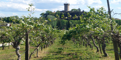 <p>vicopisano selfguided Toscana</p>
