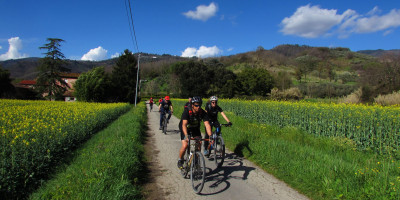 <p>Via delle Ville MTB</p>
