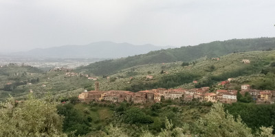 <p>Massa Valdinievole</p>
