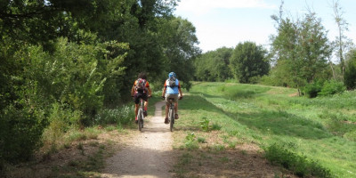 <p>MTB Calci 6</p>
