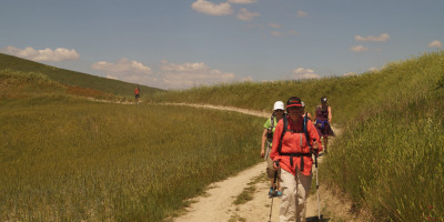 <p>Via Francigena Lucca-Siena 10</p>
