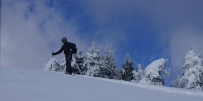 <p>Alpe San Pellegrino ciaspole</p>
