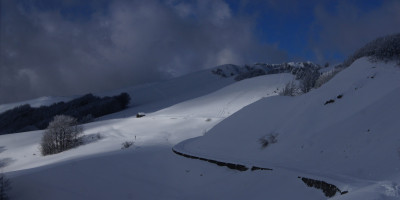 <p>SONY DSC</p>
