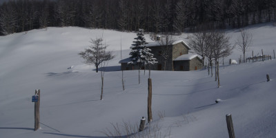<p>SONY DSC</p>
