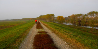 <p>Toscana in Bicicletta</p>
