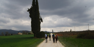 <p>Via Francigena Senese</p>
