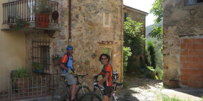 <p>MTBCalci7</p>
