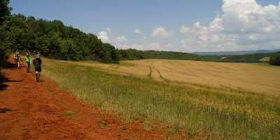 <p>Via Francigena toscana</p>
