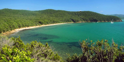 <p>Cala Violina</p>
