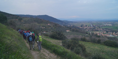 <p>Agreste Perocchio Trekking</p>
